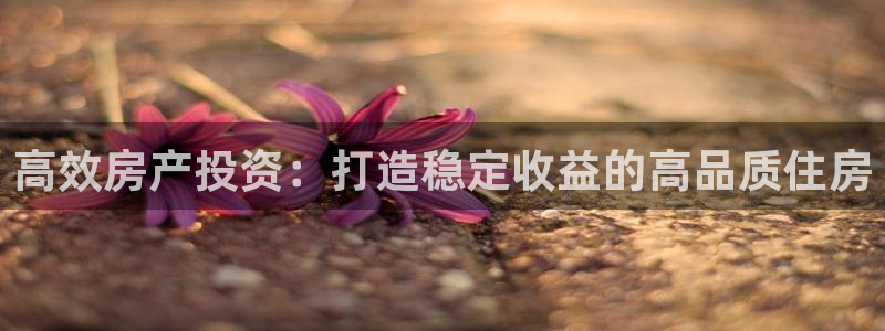 富联娱乐主管留判官333OO：高效房产投资：打造稳定收益的高品质住房