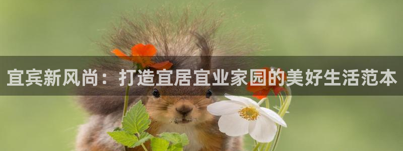 富联2娱乐资讯官网下载：宜宾新风尚：打造宜居宜业家园的美好生活范本