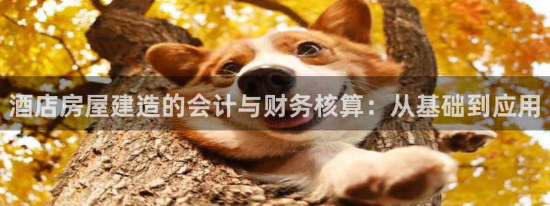 富联娱乐招商着判官333OO：酒店房屋建造的会计与财务核算：从基础到应用