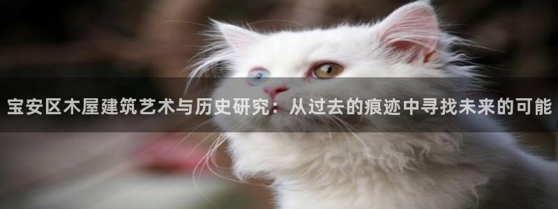 富联娱乐版权所有：宝安区木屋建筑艺术与历史研究：从过去的痕迹中寻找未来的可能