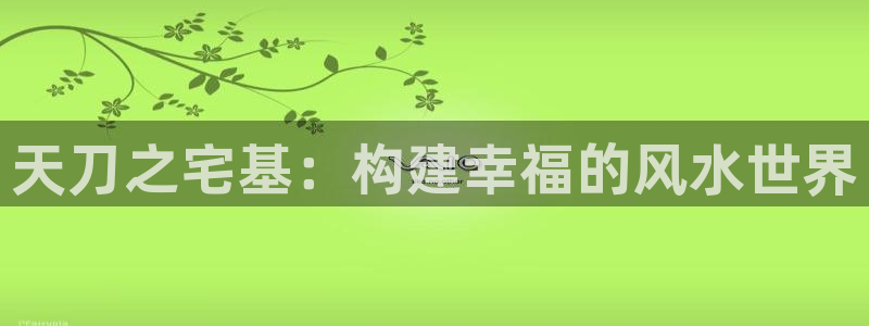 富联娱乐官网入口下载：天刀之宅基：构建幸福的风水世界