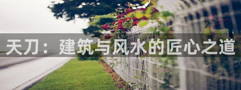 富联娱乐登录网址是什么：天刀：建筑与风水的匠心之道