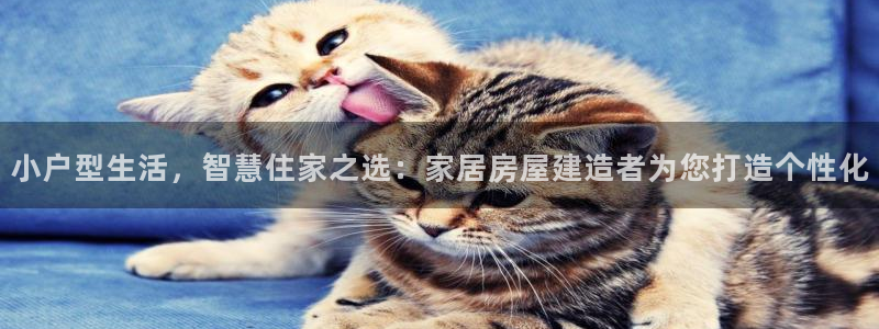 富联娱乐登录链接怎么弄到桌面：小户型生活，智慧住家之选：家居房屋建造者为您打造个性化