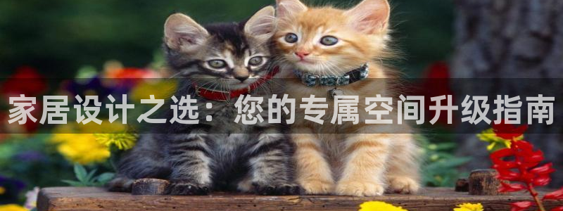 富联2娱乐招商测判官333OO：家居设计之选：您的专属空间升级指南