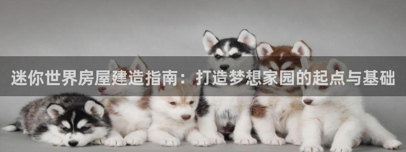 富联娱乐主管是谁啊老板：迷你世界房屋建造指南：打造梦想家园的起点与基础