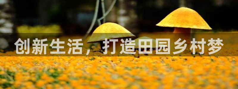 富联娱乐2853179Z空间：创新生活，打造田园乡村梦