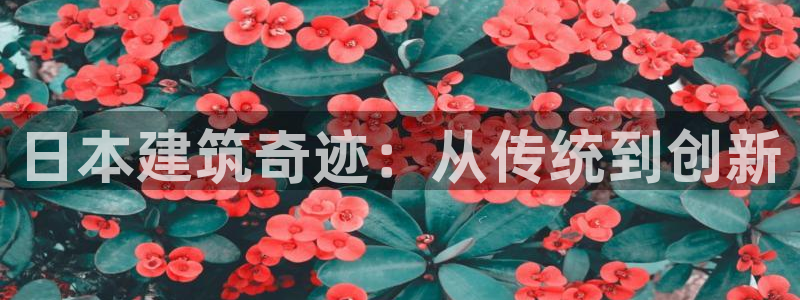 富联娱乐首页在哪找到：日本建筑奇迹：从传统到创新