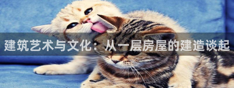 富联娱乐主管是谁判官333OO：建筑艺术与文化：从一层房屋的建造谈起