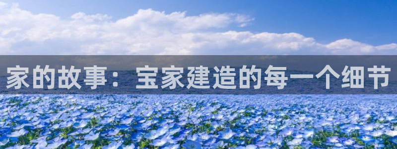 富联娱乐分红怎么样啊：家的故事：宝家建造的每一个细节