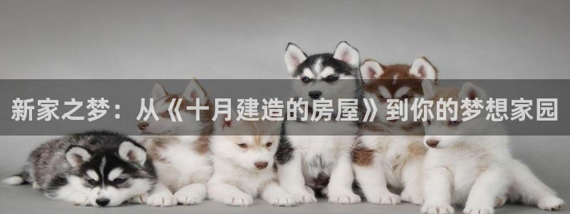 富联娱乐开户费用查询表：新家之梦：从《十月建造的房屋》到你的梦想家园