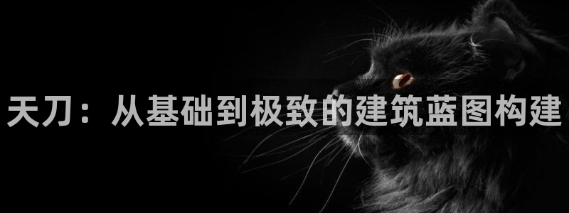 富联娱乐他37997筘：天刀：从基础到极致的建筑蓝图构建