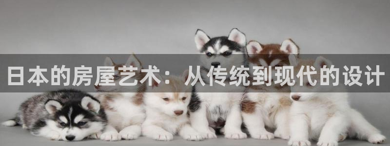 富联娱乐招商鱼判官333OO：日本的房屋艺术：从传统到现代的设计