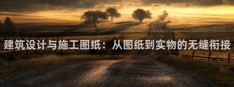 富联娱乐主管陆判官333OO：建筑设计与施工图纸：从图纸到实物的无缝衔接