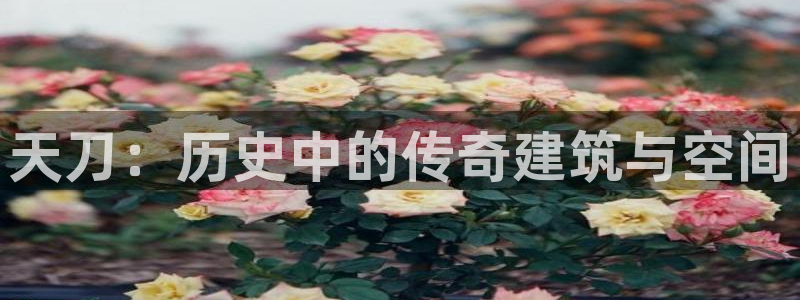 富联娱乐官网注册入口在哪：天刀：历史中的传奇建筑与空间