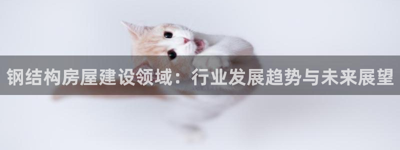 富联娱乐系究7276O：钢结构房屋建设领域：行业发展趋势与未来展望