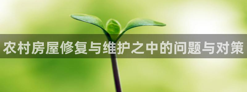 富联娱乐平台是什么平台：农村房屋修复与维护之中的问题与对策