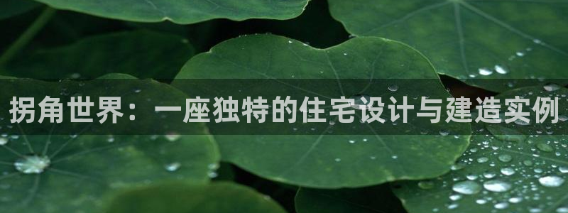 富联娱乐 肁企鹅779O3：拐角世界：一座独特的住宅设计与建造实例