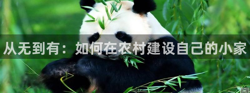 富联娱乐官网下载安卓：从无到有：如何在农村建设自己的小家