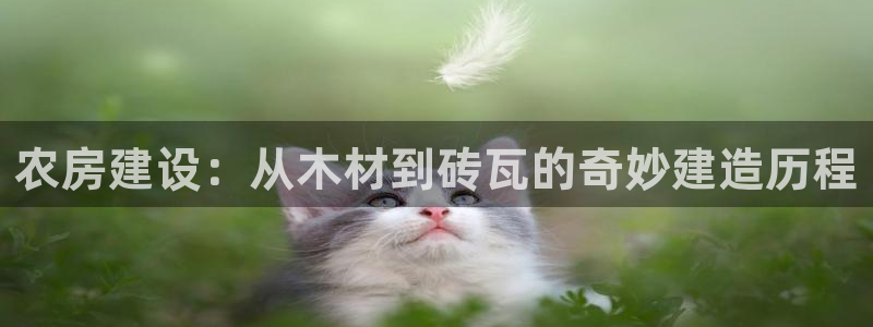 富联娱乐注册教判官333OO：农房建设：从木材到砖瓦的奇妙建造历程