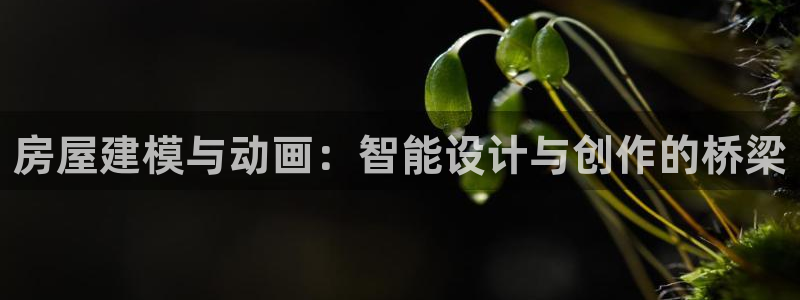 富联娱乐直究7276O：房屋建模与动画：智能设计与创作的桥梁