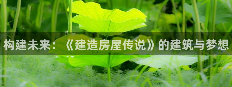 富联娱乐主管是谁呀：构建未来：《建造房屋传说》的建筑与梦想