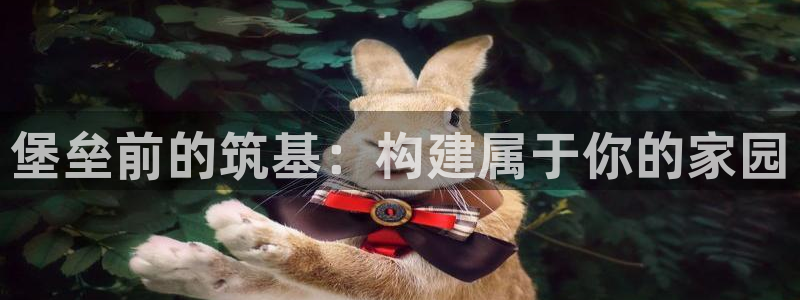 富联娱乐平台怎么样：堡垒前的筑基：构建属于你的家园