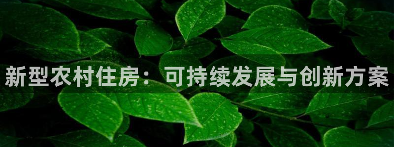富联娱乐首页登录不了：新型农村住房：可持续发展与创新方案
