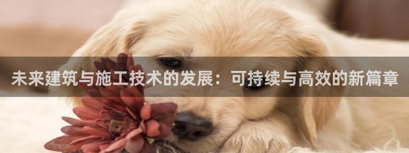 富联娱乐总裁简介图片高清：未来建筑与施工技术的发展：可持续与高效的新篇章